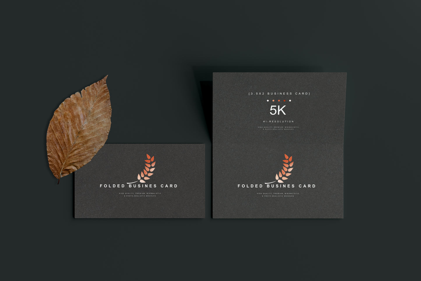Folded Business Card Mockups