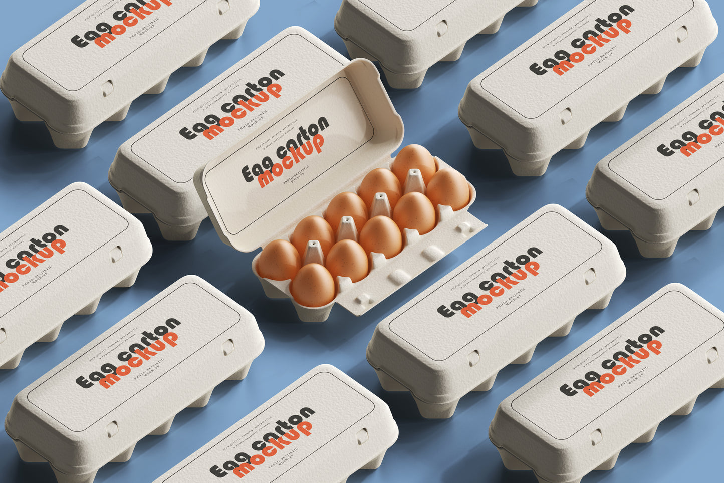 Egg Carton Mockup