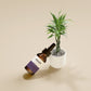 Dropper Bottle Mockups
